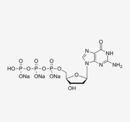 Klare farblose Triphosphate DGTP Deoxynucleotides in Lösung CAS 93919-41-6 PCR 100mM