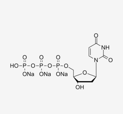 Farblose 100mm Lösung 2' - Deoxyadenosine-5'-Triphosphate 5' - DATP in PCR CAS 1927-31-7
