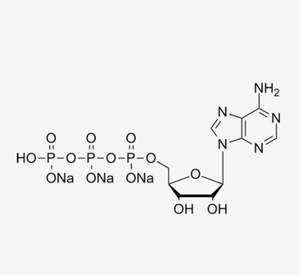 Impfrohstoffe Adenosine-5'-Triphosphate CAS 987-65-5 Atps MRNA