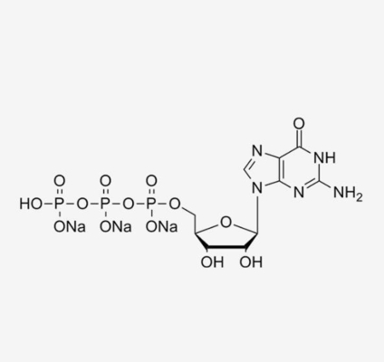 Trinatrium- Salz CAS 36051-31-7 GTP 100mM Lösungs-Guanosine-5'-Triphosphate