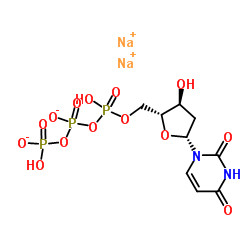 DUTP Deoxynucleotides 2' - Deoxyuridine-5'-Triphosphate Natriumsalzlösung CAS 102814-08-4