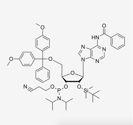 HPLC ≥98% -2'-O-TBDMS-A (BZ) - Reagens CAS 104992-55-4 des Cer--Phosphoramiditetbdms