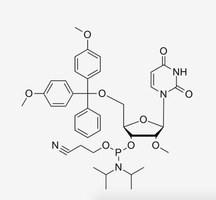 CAS 110764-79-9 5' - O--2'-O-Methyluridine änderte Nukleotide 3' - CER Phosphoramidite-Oligonucleotide-Synthese
