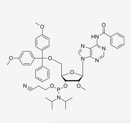 N6-Bz-5'-O--2'-OMe-A-CE Phosphoramidite Synthese CAS 110782-31-5 C48H54N7O8P