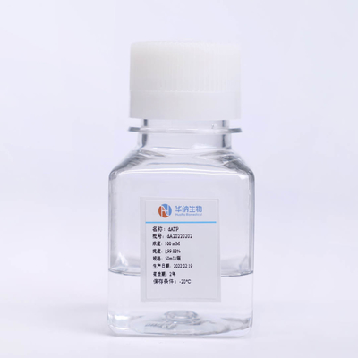 Transparentes Deoxyadenosine-Triphosphat DATP DGTP flüssige Lösung CASs 1927-31-7 100mM