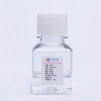 100mm 2' - Deoxyuridine-5'-Triphosphate Trinatrium- Salz DUTP PCR CAS 102814-08-4 HPLC≥99%