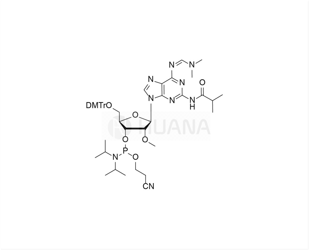 DMTr-2'-O-Me-N2-iBu-N6-dmf- 2-amido-rA-3'-CE-Phosphoramidit