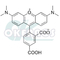 Reagenzien 5-TAMRA der DNA-Sequenzierungs-5-Carboxytetramethylrhodamine