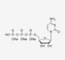 Rohstoffe CASs 123334-07-6 Cytidine-5'-Triphosphate Mrna Lösung CTP 100mM