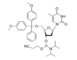 -PAPIERLÖSEKOROTRON-CEr-Nukleosid Phosphoramidite 5' - -DT Phosphoramidite CAS 98796-51-1