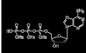 Wässerige Lösung Huana Datp Deoxynucleotides von Dntp-Mischung 100mm Cas 1927-31-7